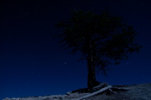 IMG_1844