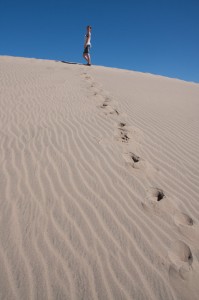 IMG_2635