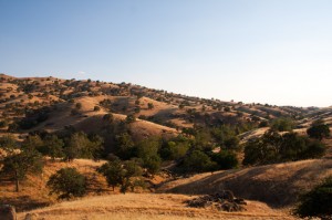 IMG_2789
