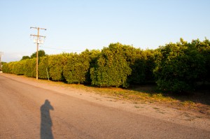 IMG_2812